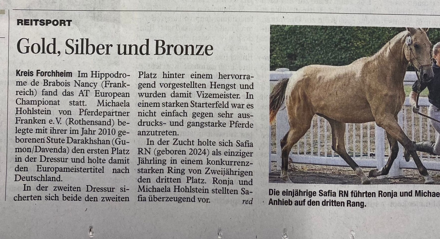 FT Bericht EU 2025.jpeg